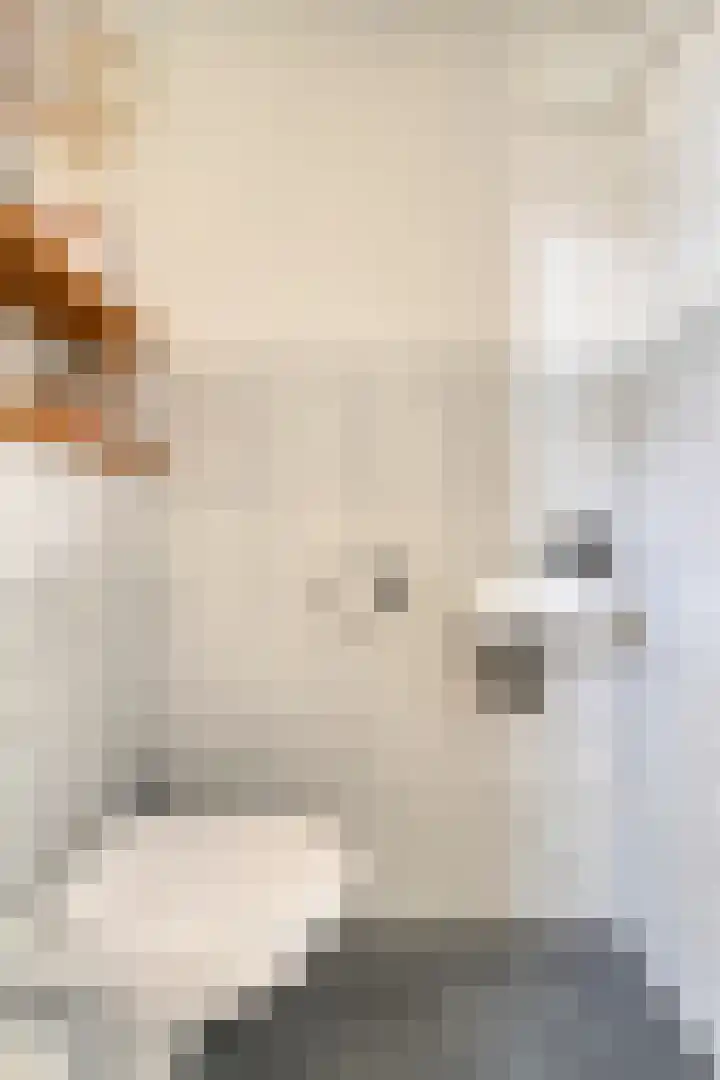 Schuurakker 3 Heeswijk-Dinther thumbnail 7