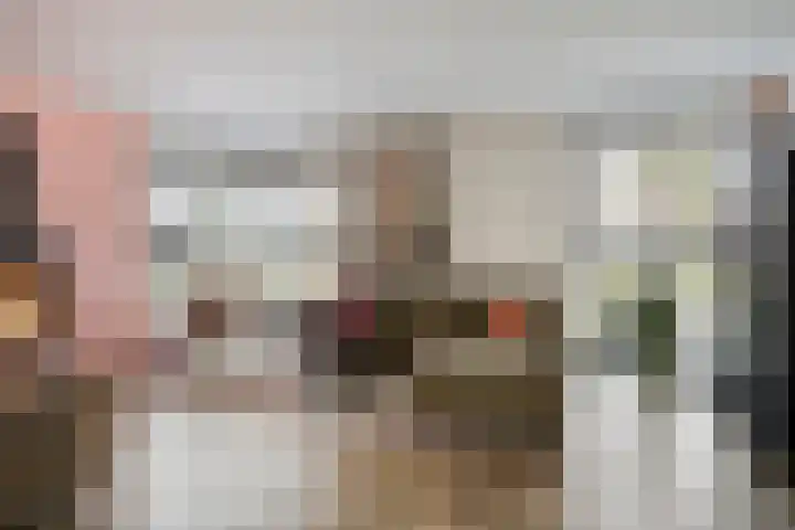 Schuurakker 3 Heeswijk-Dinther thumbnail 9