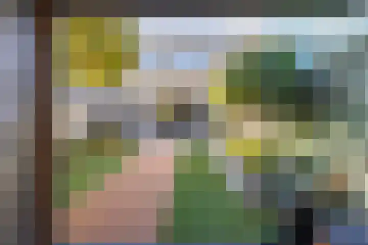 Schuurakker 35 Heeswijk-Dinther thumbnail 31