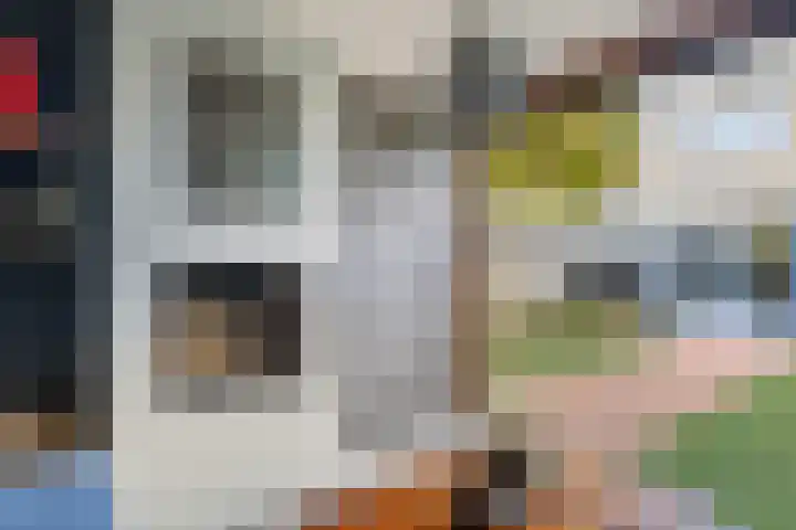 Schuurakker 35 Heeswijk-Dinther thumbnail 32
