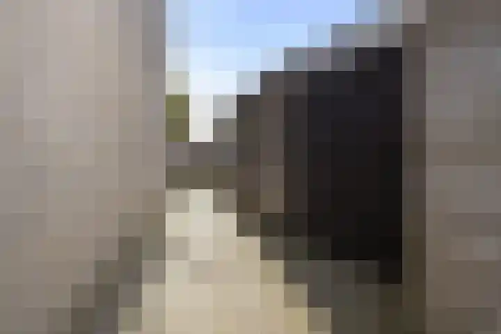 Schuurakker 35 Heeswijk-Dinther thumbnail 33