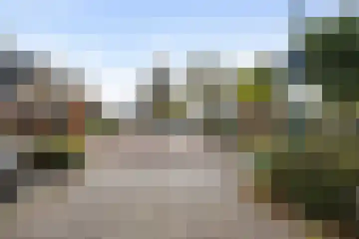 Schuurakker 35 Heeswijk-Dinther thumbnail 34
