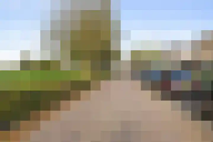 Schuurakker 35 Heeswijk-Dinther thumbnail 35