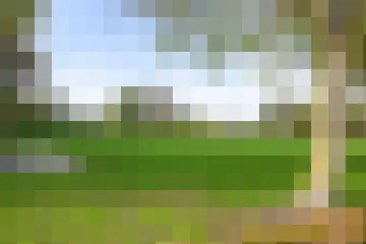 Schuurakker 35 Heeswijk-Dinther thumbnail 36