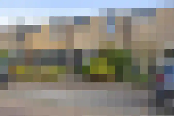 Schuurakker 35 Heeswijk-Dinther thumbnail 38