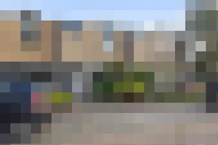 Schuurakker 35 Heeswijk-Dinther thumbnail 5