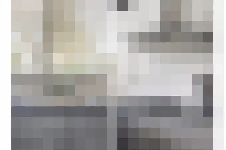 Schuurakker 35 Heeswijk-Dinther thumbnail 8