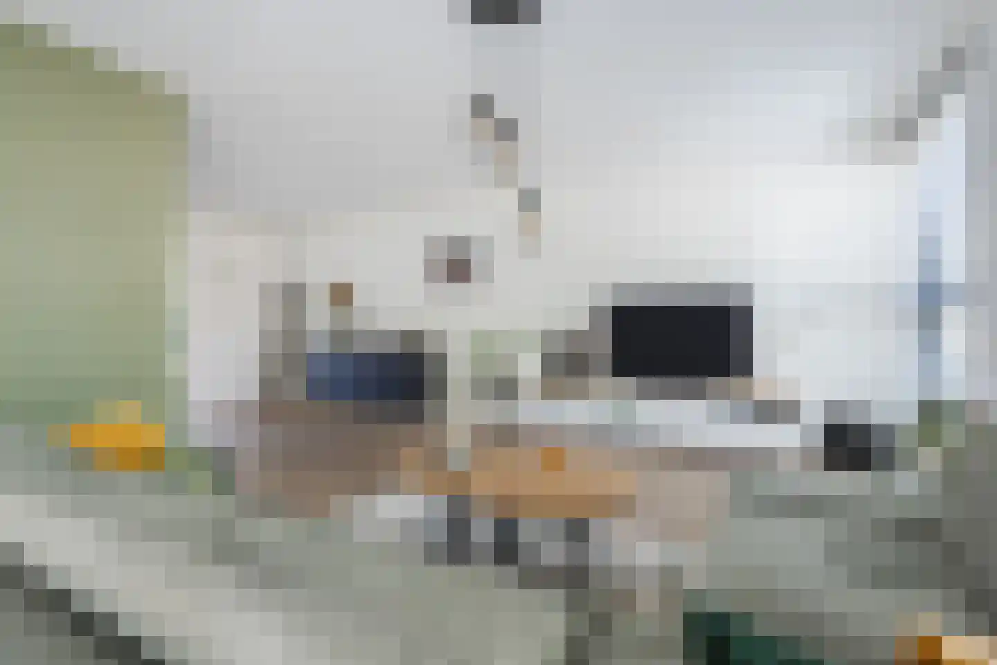 Schuurakker 9 Heeswijk-Dinther thumbnail 12
