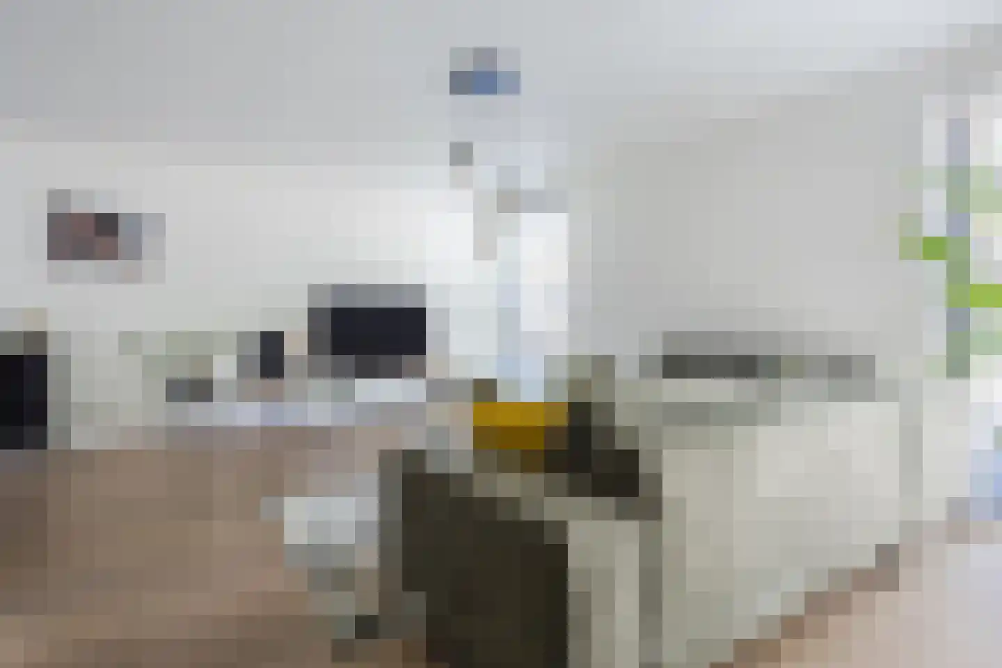 Schuurakker 9 Heeswijk-Dinther thumbnail 13