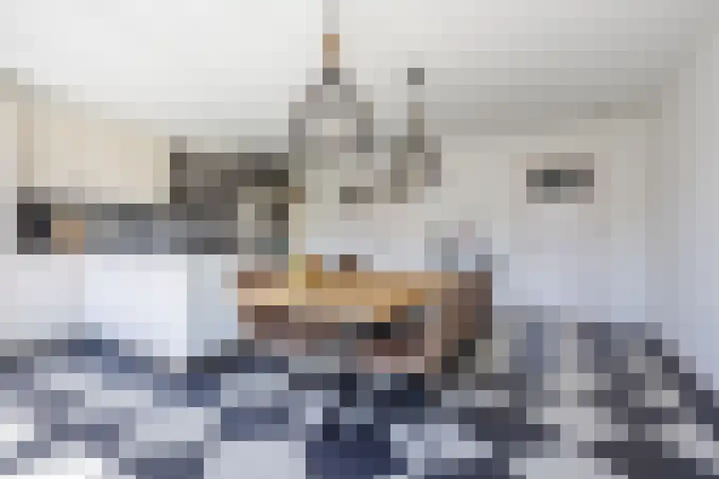 Schuurakker 9 Heeswijk-Dinther thumbnail 17