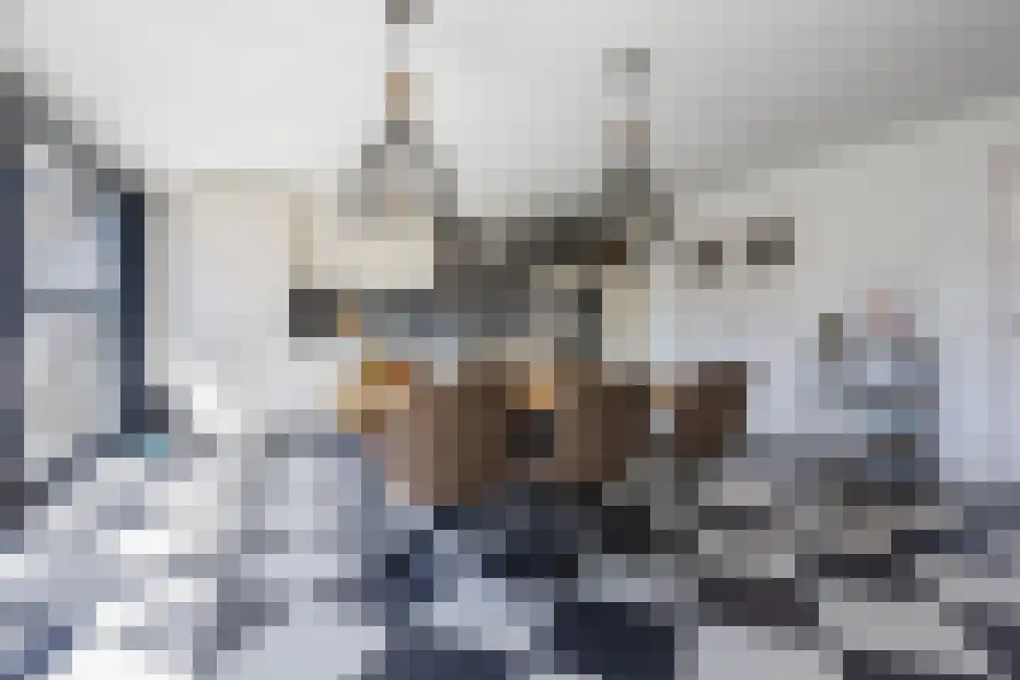Schuurakker 9 Heeswijk-Dinther thumbnail 18