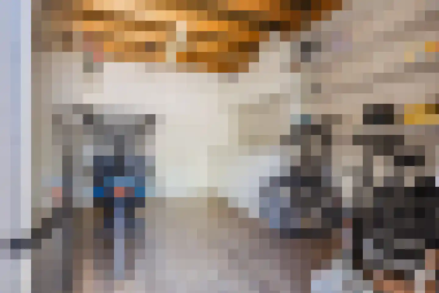 Schuurakker 9 Heeswijk-Dinther thumbnail 21