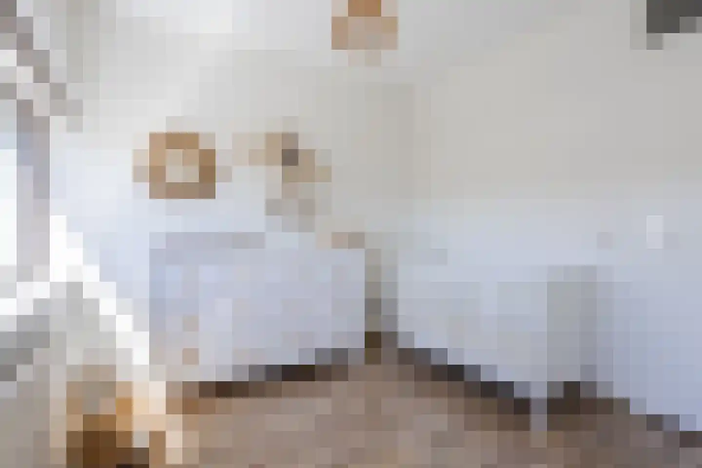 Schuurakker 9 Heeswijk-Dinther thumbnail 28