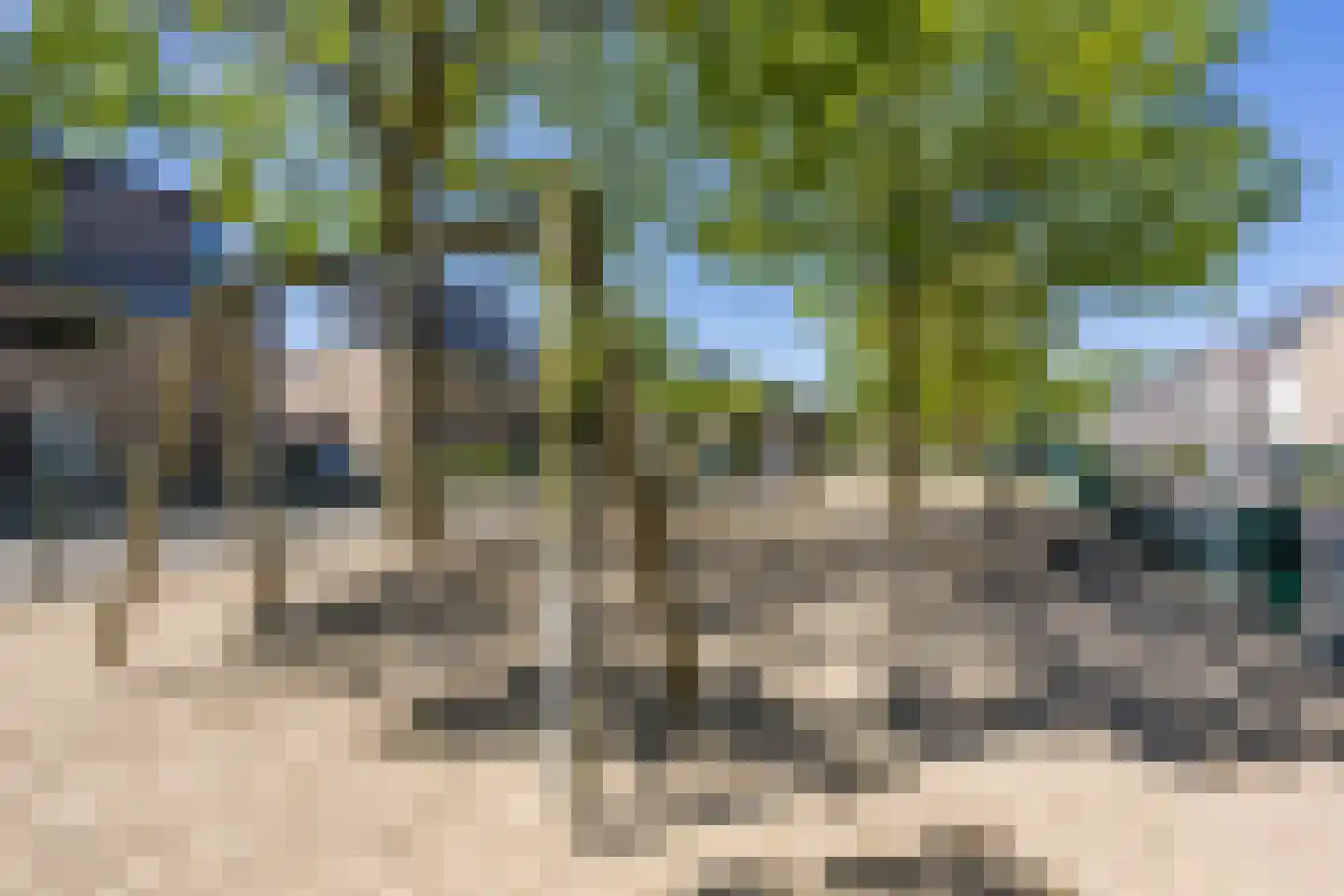 Schuurakker 9 Heeswijk-Dinther thumbnail 49