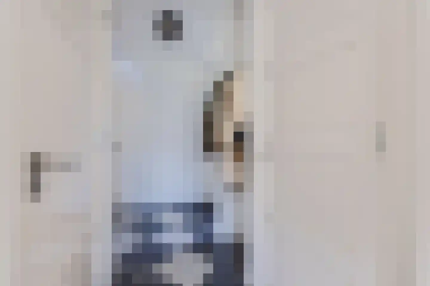 Schuurakker 9 Heeswijk-Dinther thumbnail 6