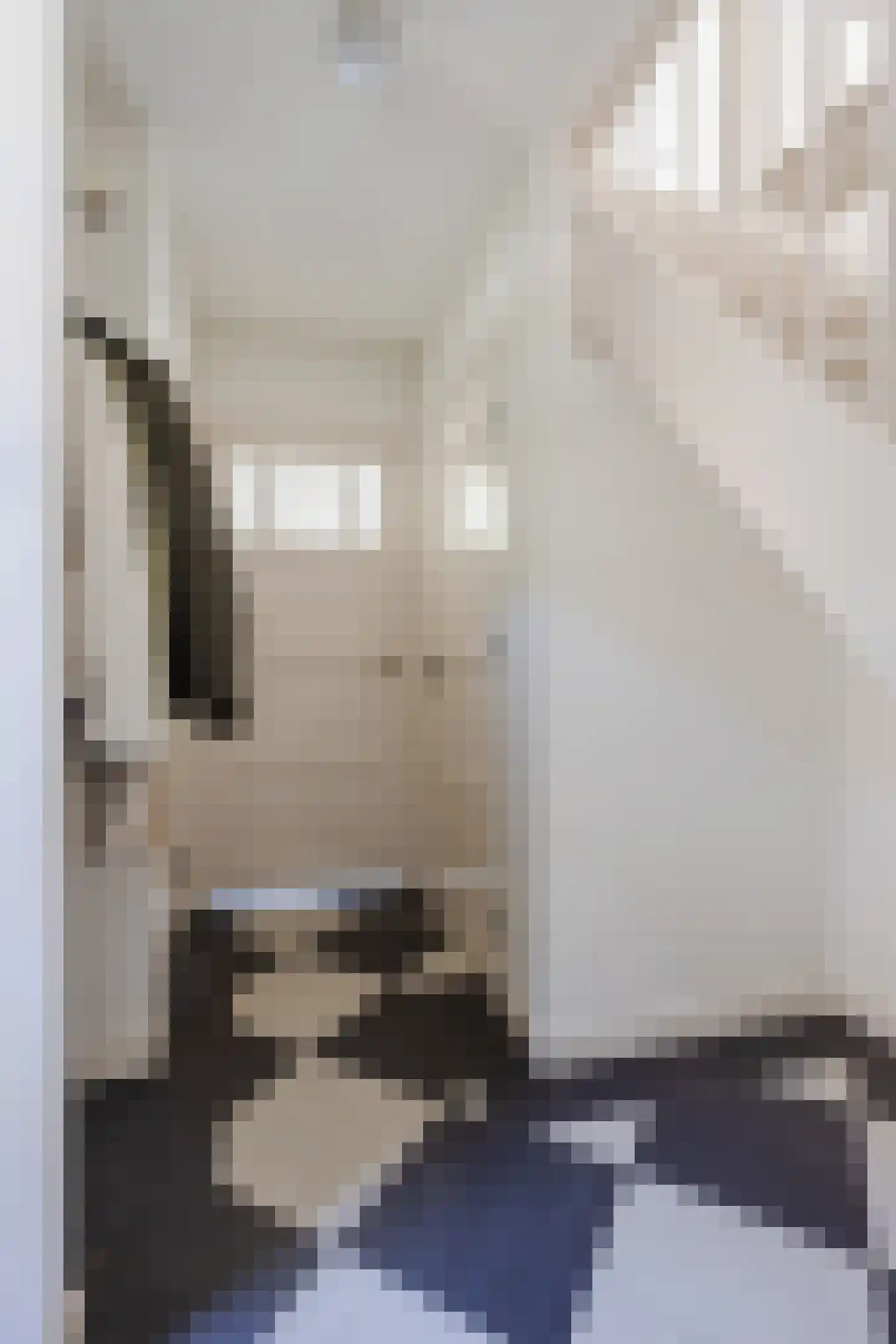 Schuurakker 9 Heeswijk-Dinther thumbnail 8