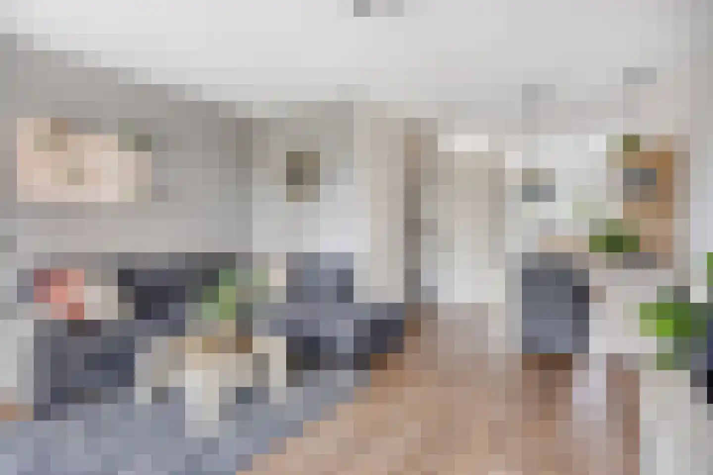 Schuurhoek 7 Nisse thumbnail 4