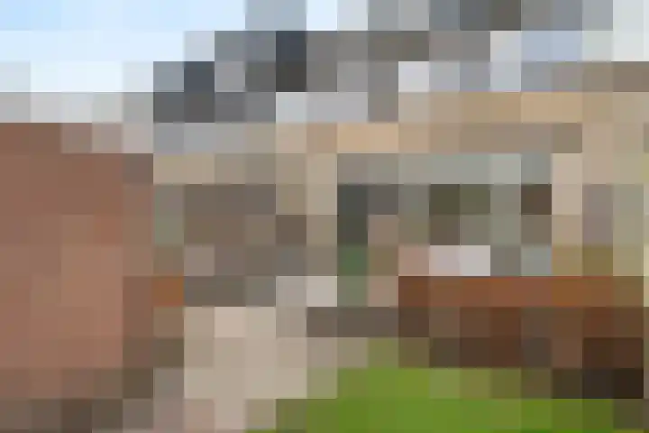 Schuurhoven 3 Bennekom thumbnail 38