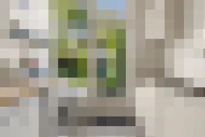 Schuurhoven 33 Bennekom thumbnail 16