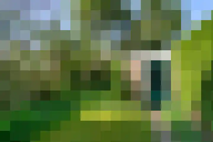Schuurhoven 33 Bennekom thumbnail 18
