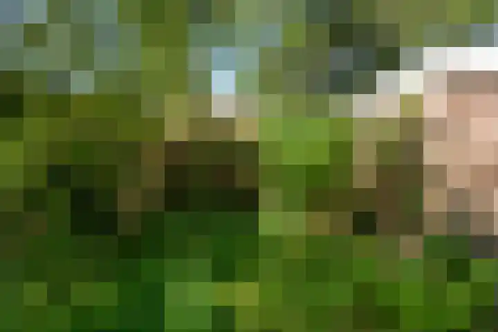Schuurhoven 33 Bennekom thumbnail 19