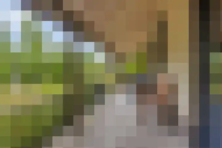 Schuurkerkstraat 6 Sprundel thumbnail 34