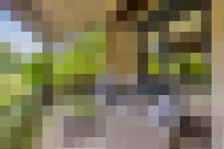 Schuurkerkstraat 6 Sprundel thumbnail 35