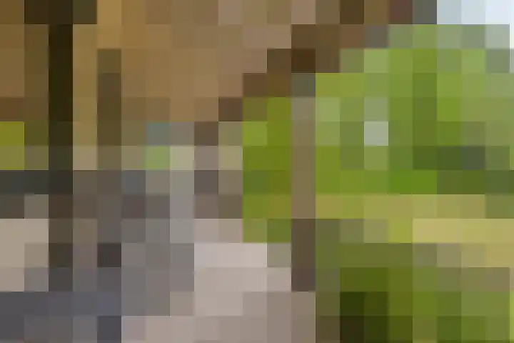 Schuurkerkstraat 6 Sprundel thumbnail 36