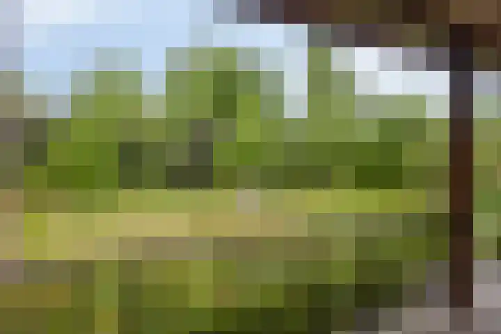 Schuurkerkstraat 6 Sprundel thumbnail 37