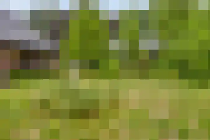 Schuurkerkstraat 6 Sprundel thumbnail 39