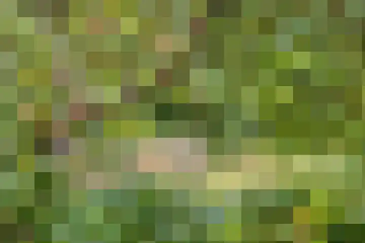 Schuurkerkstraat 6 Sprundel thumbnail 40