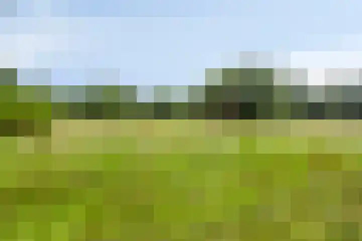 Schuurkerkstraat 6 Sprundel thumbnail 41