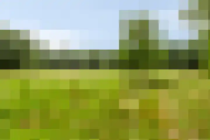 Schuurkerkstraat 6 Sprundel thumbnail 42