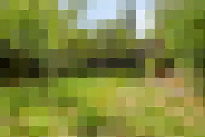 Schuurkerkstraat 6 Sprundel thumbnail 43