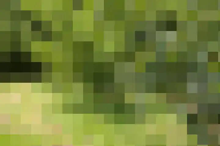 Schuurkerkstraat 6 Sprundel thumbnail 44