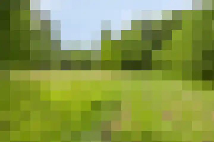 Schuurkerkstraat 6 Sprundel thumbnail 45