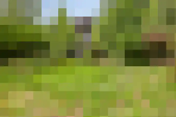 Schuurkerkstraat 6 Sprundel thumbnail 46