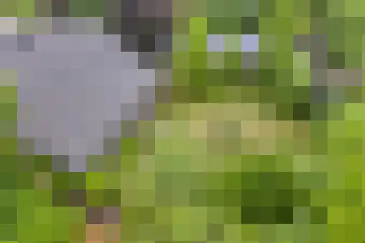 Schuurkerkstraat 6 Sprundel thumbnail 48