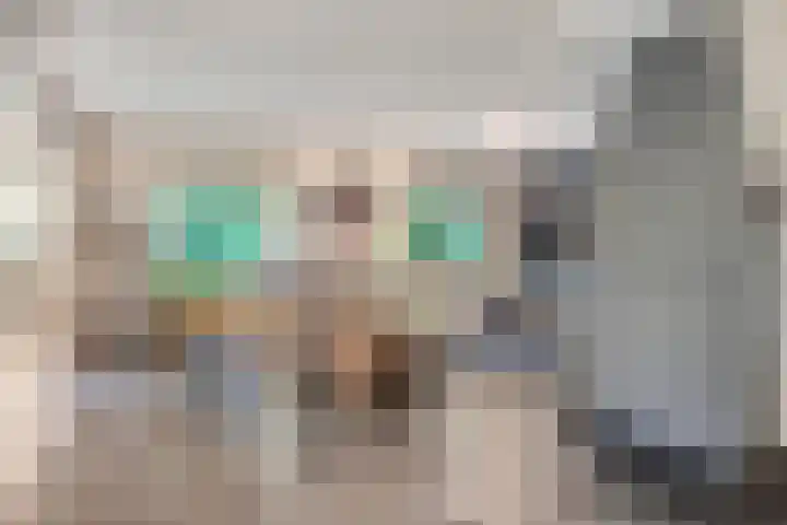 Schuurkerkstraat 6 Sprundel thumbnail 5