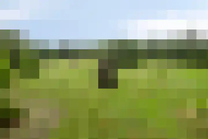 Schuurkerkstraat 6 Sprundel thumbnail 51