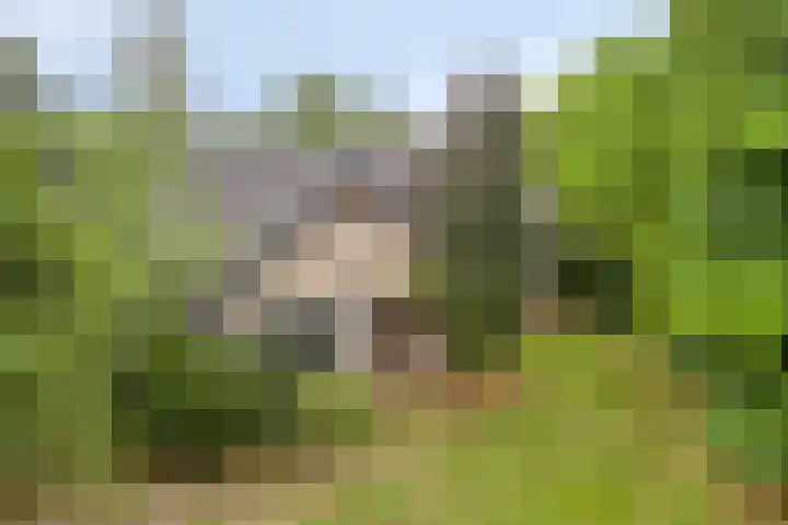 Schuurkerkstraat 6 Sprundel thumbnail 52