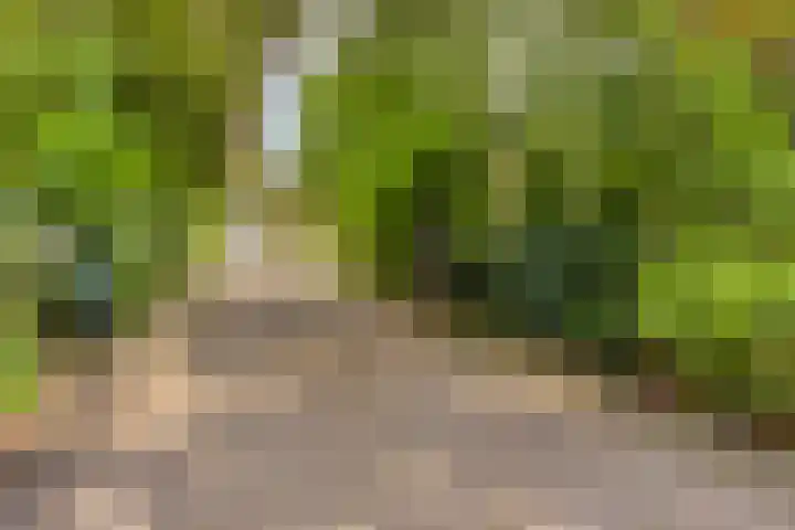 Schuurkerkstraat 6 Sprundel thumbnail 53