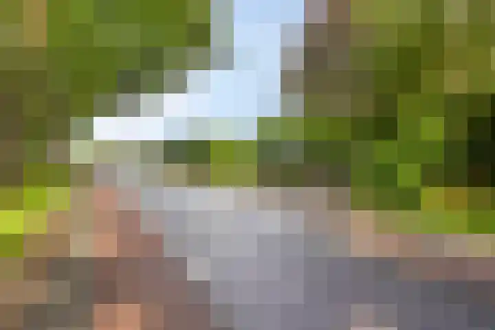 Schuurkerkstraat 6 Sprundel thumbnail 54