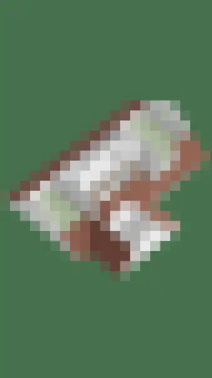 Schuurkerkstraat 6 Sprundel thumbnail 58