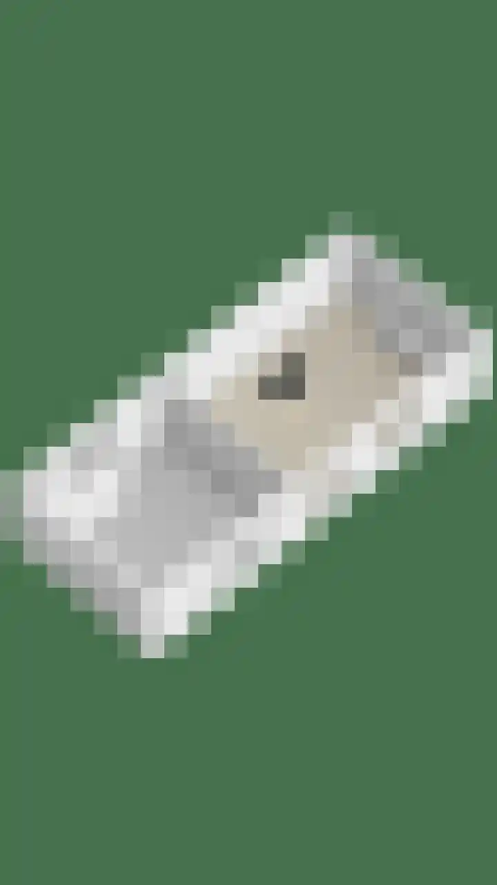Schuurkerkstraat 6 Sprundel thumbnail 62