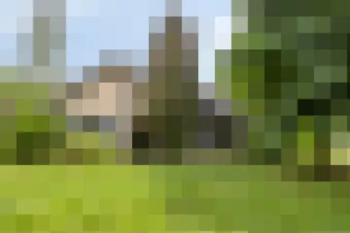 Schuurkerkstraat 6 Sprundel thumbnail 65