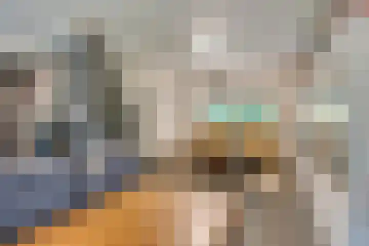Schuurkerkstraat 6 Sprundel thumbnail 9