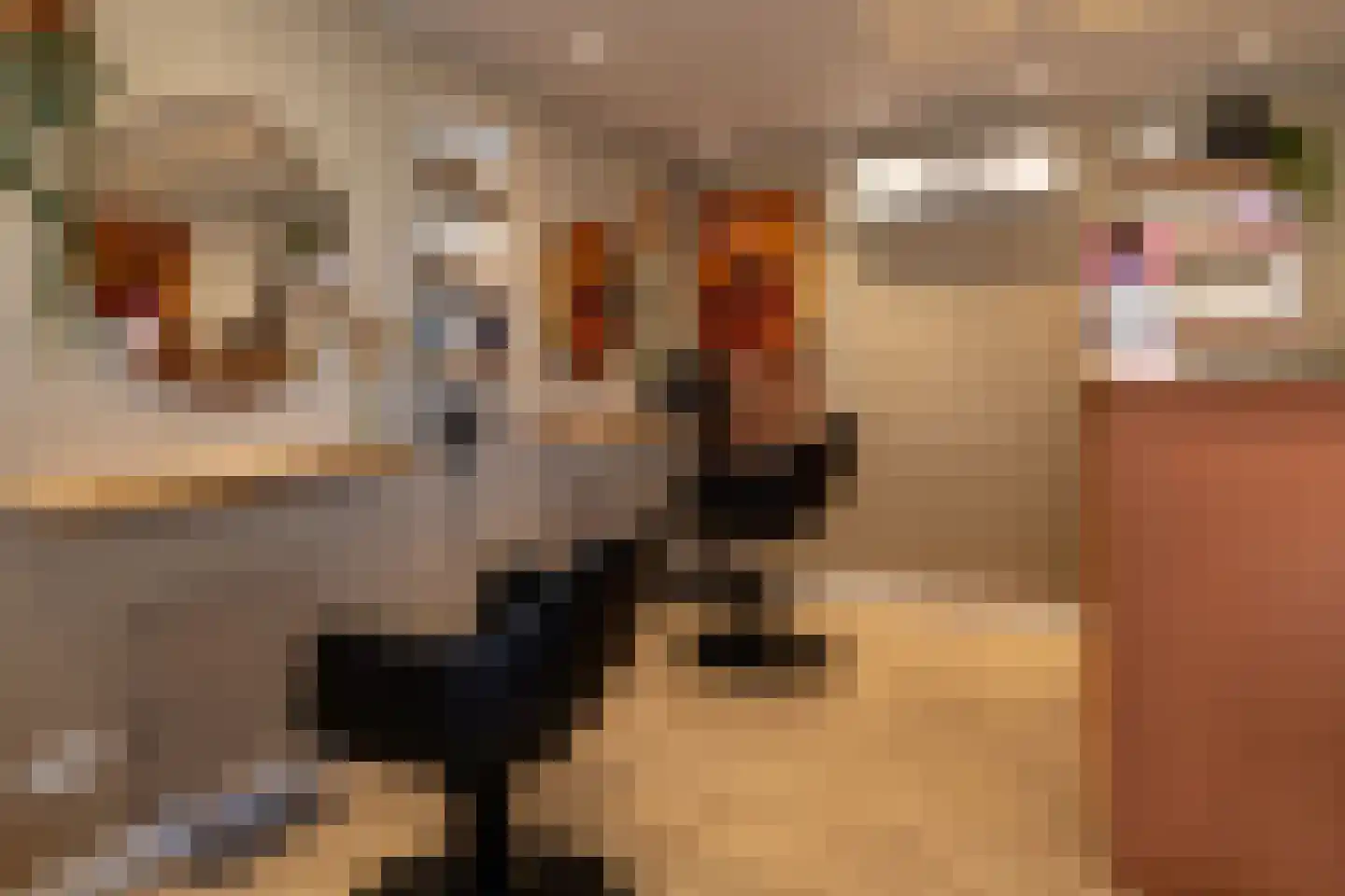 Schuurmanserf 25 Nunspeet thumbnail 41