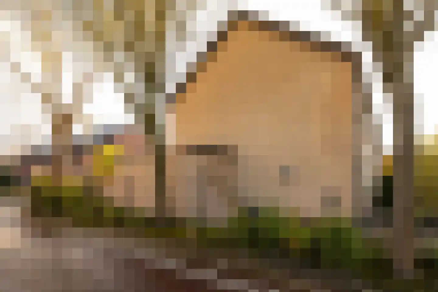 Schuurmanserf 25 Nunspeet thumbnail 7