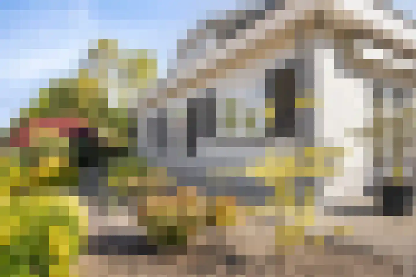 Schuurmanskamp 13 Lunteren thumbnail 37